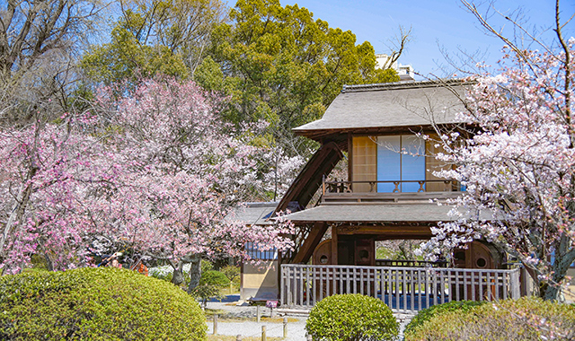 渉成園（国の名勝）