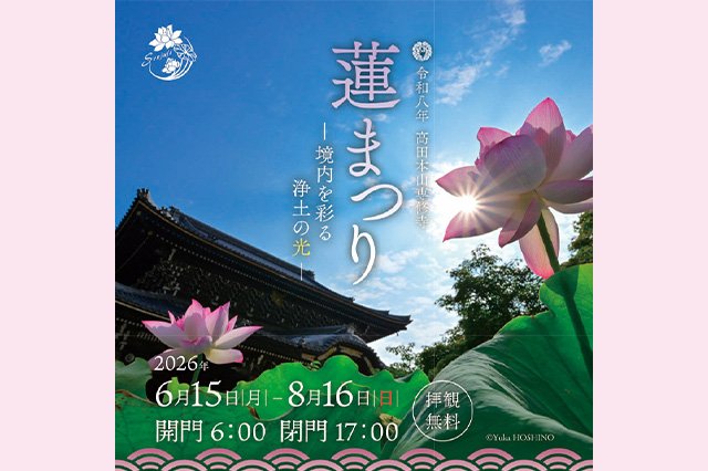 【真宗高田派】高田本山専修寺「蓮まつり-境内を彩る浄土の光-」