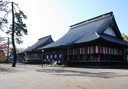 真宗誠照寺派 誠照寺